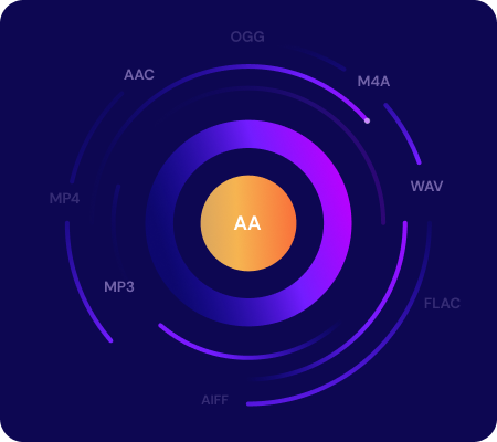 convertidor aa converter