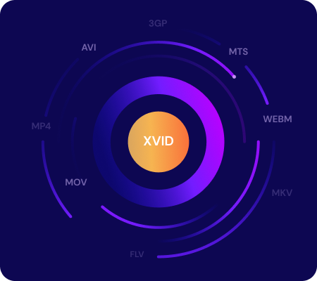 kostenloser online xvid converter