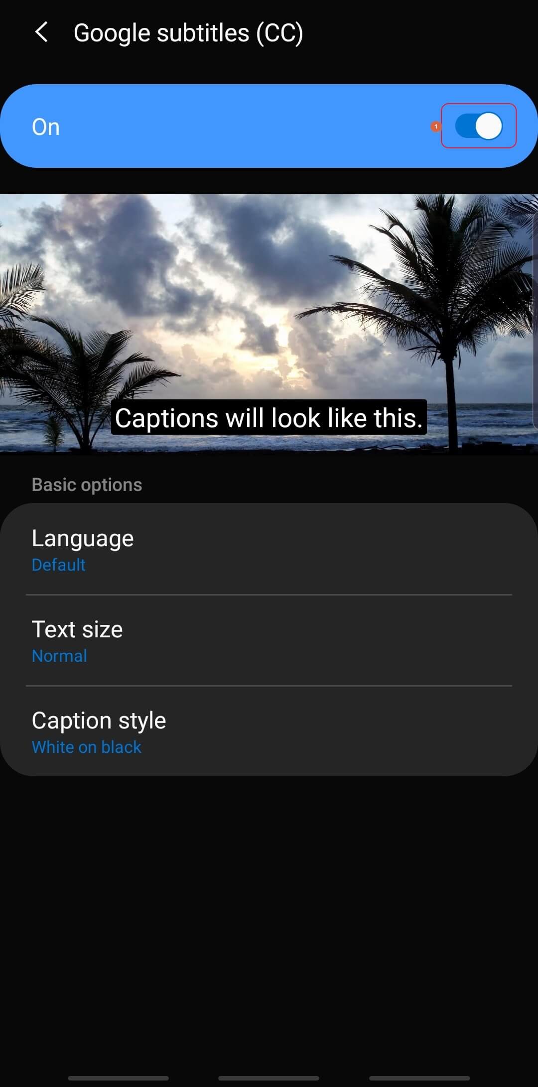 turn youtube video caption setting