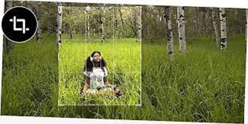 cropping of the image