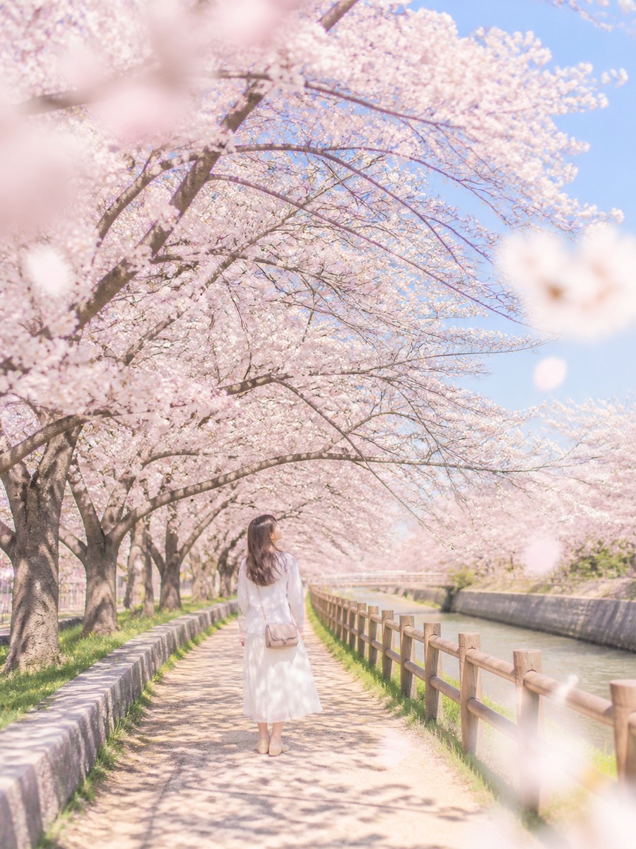 平成レトロ 秋写真 作例3の作例画像